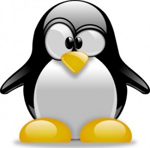 Pingwin - Miejsca karane z linkami zoptymalizowanymi lub nienaturalnymi (spam)