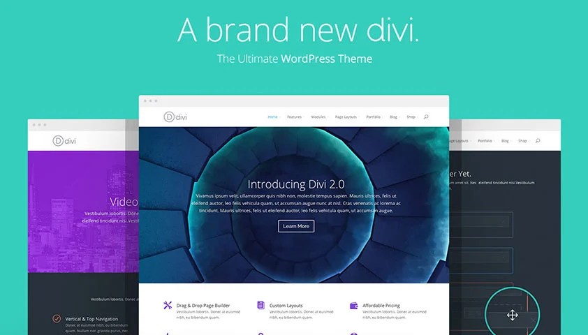 Дзіва WordPress Theme - Elegant Themes